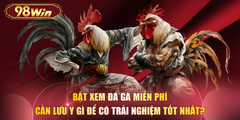 Bật xem đá gà miễn phí cần lưu ý gì để có trải nghiệm tốt nhất?