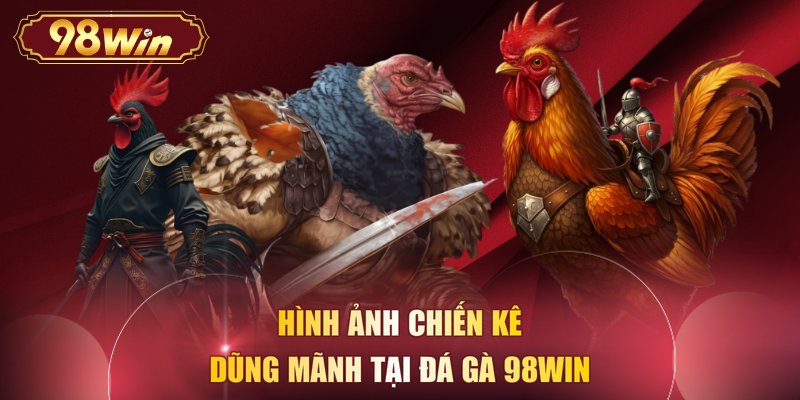 Hình ảnh chiến kê dũng mãnh tại Đá gà 98WIN